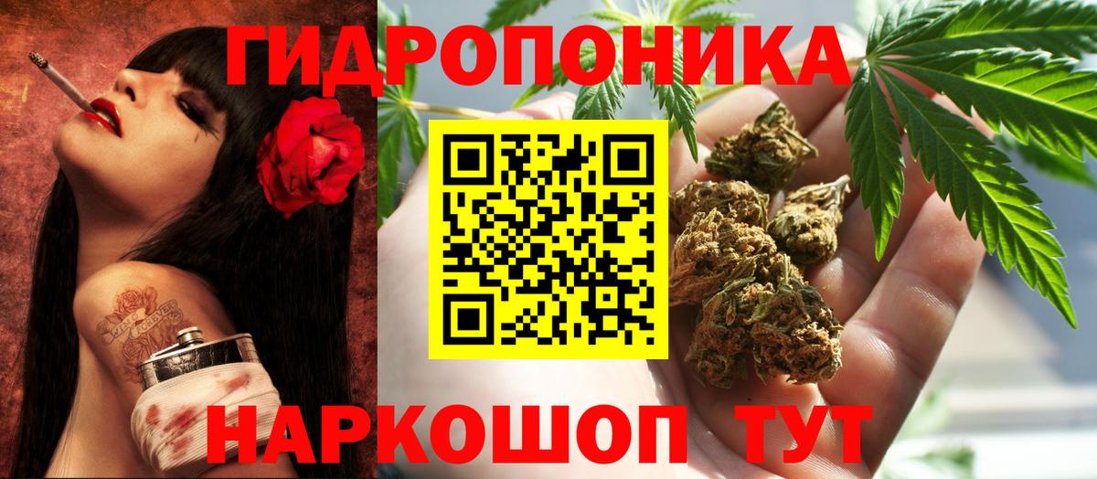 Бошки марихуана OG Kush Ликино-Дулёво
